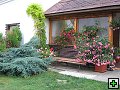 thn_Troubelice 2006 006.jpg